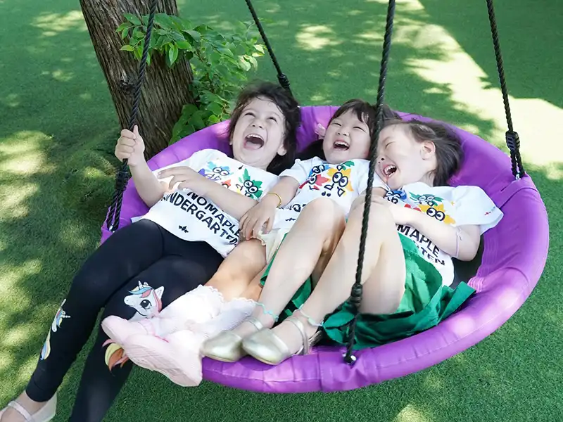 flying saucer swing