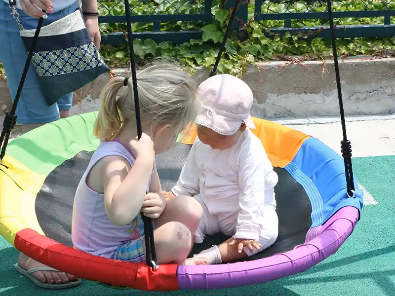 outdoor saucer swing
