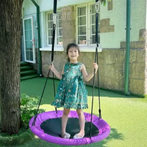 Flying Saucer Swing