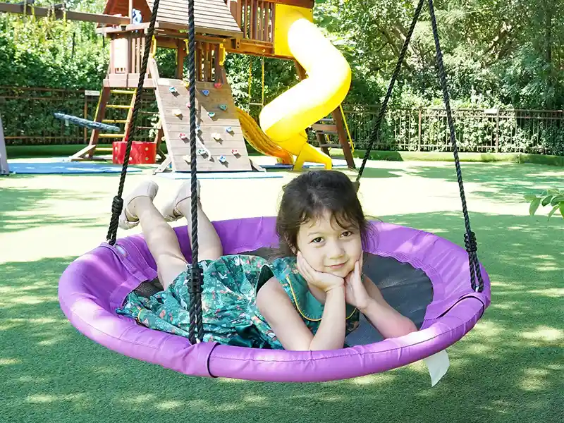 saucer swing for tree