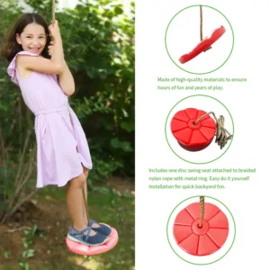 disc swing for tree