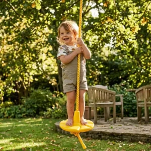 disc rope swing