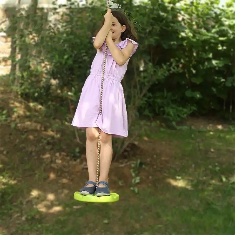 Disc Swing For Tree