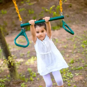 trapeze swing